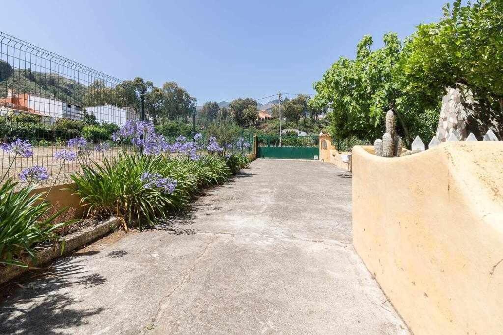 Villa Ojuelos Gran Canaria 维加-德圣马特奥 外观 照片
