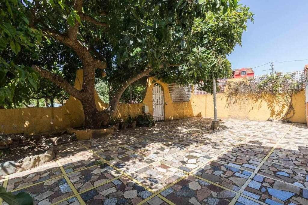 Villa Ojuelos Gran Canaria 维加-德圣马特奥 外观 照片